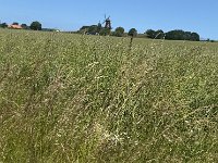 Radreise Kattegattleden-320